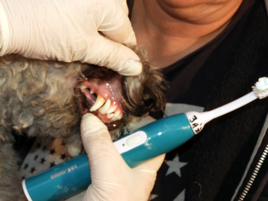 Ultrahangos fogkőeltávilítás