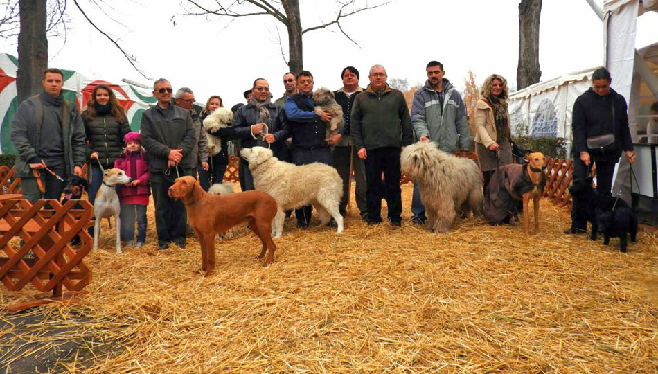 FM Hungarikum bemutató