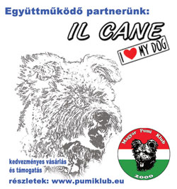 Támogatás és kedvezményes vásárlási lehetőség