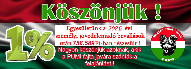 2025-ado.jpg
