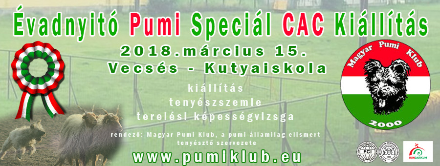 Évadnyitó CAC Kiállítás - Vecsés