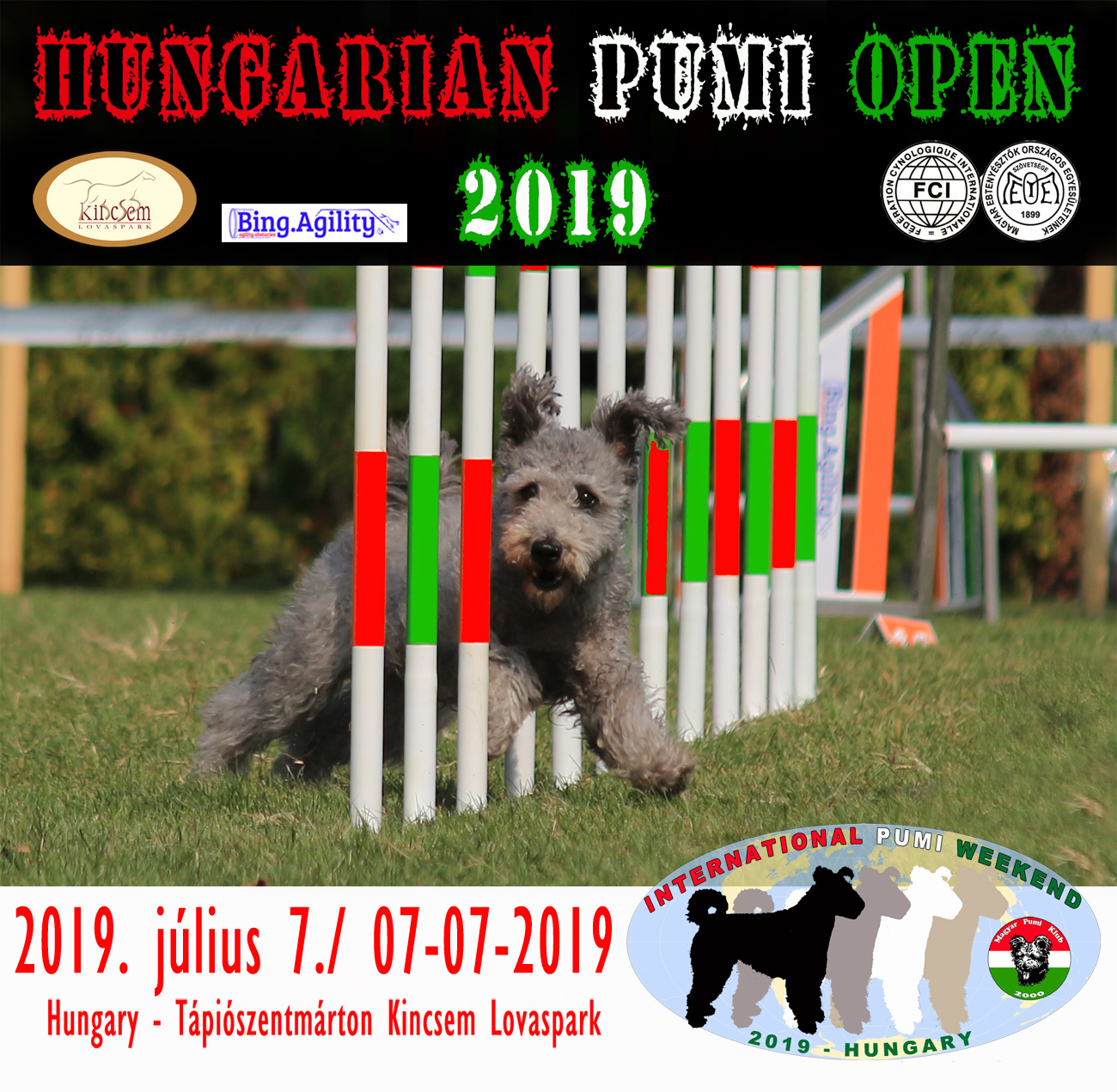 Nemzetközi Pumi Hétvége - II. Hungarian Pumi Open Agility Kupa