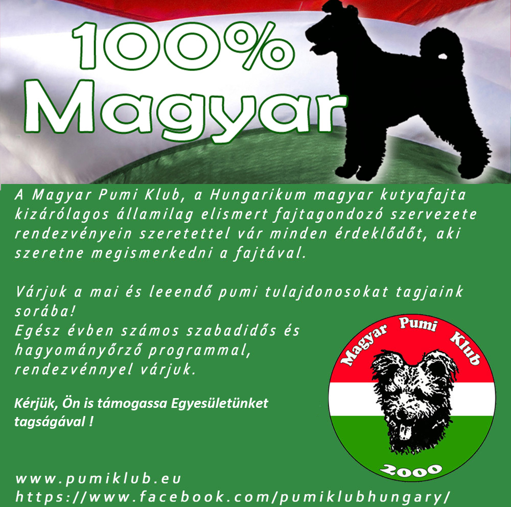 Felhívás a PUMI iránt érdeklődők számára !