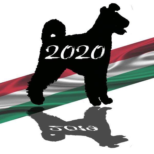 2020. évi rendezvénytervezet