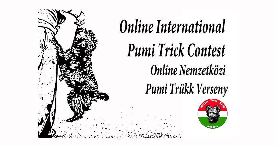 Online Nemzetközi Pumi Trükk Verseny