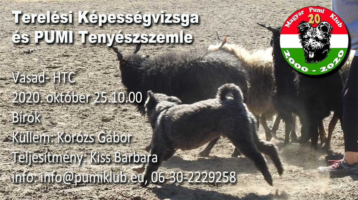 Tenyészszemle, NHAT, HWT, Vasad