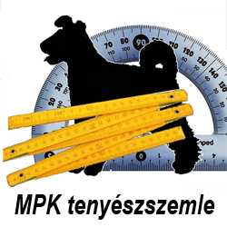 Tenyészszemle, HWT, NHAT, Vasad-május 15