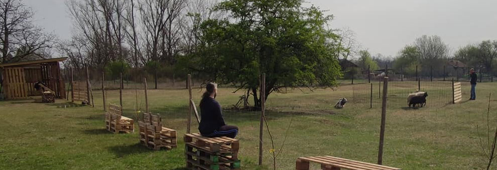 Puminap 2021. június 19