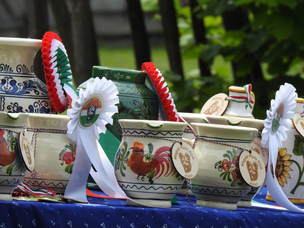 Bogáncs Kupa CAC kiállítás,Tenyészszemle Szentendrei Skanzen