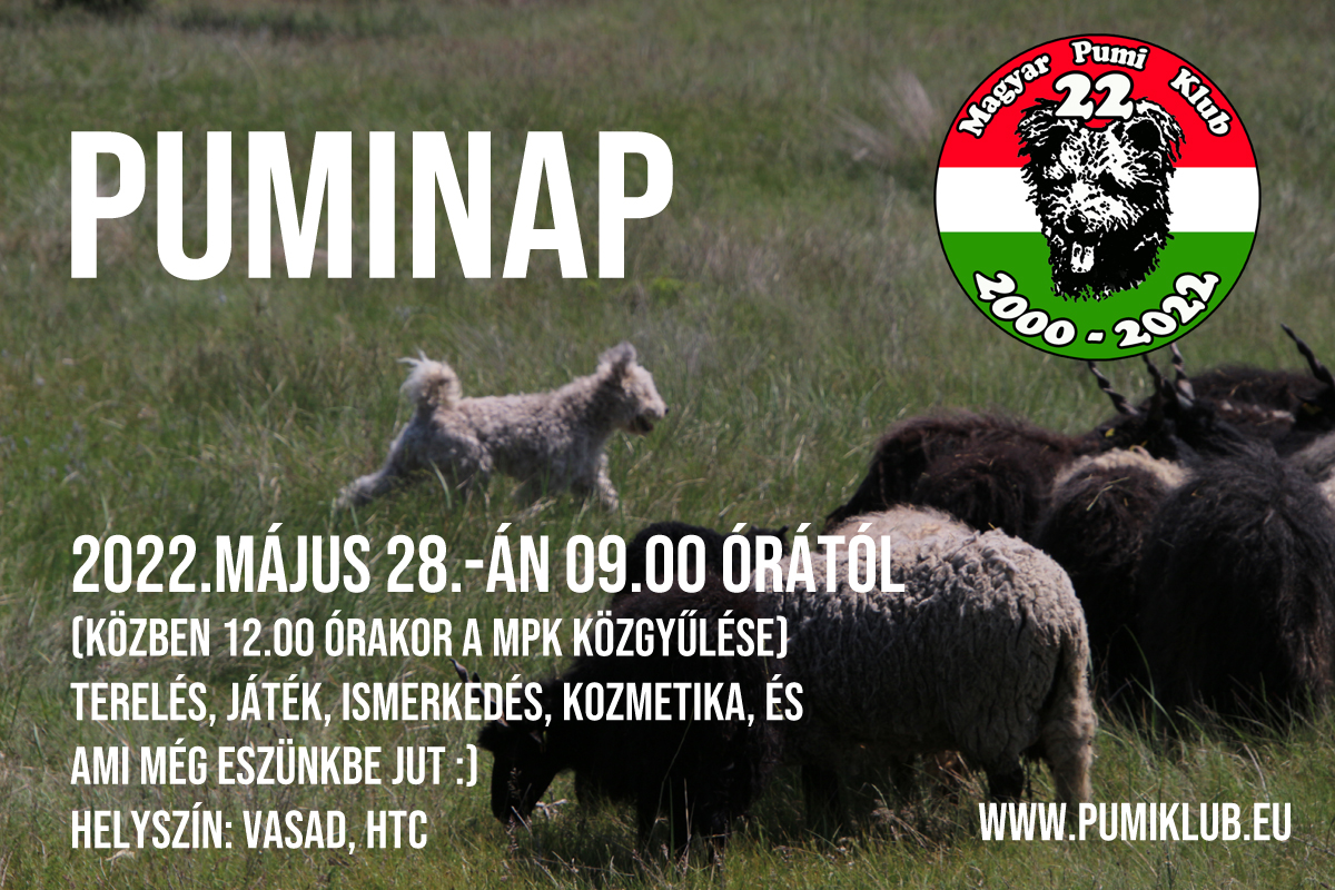 Puminap és Közgyűlés