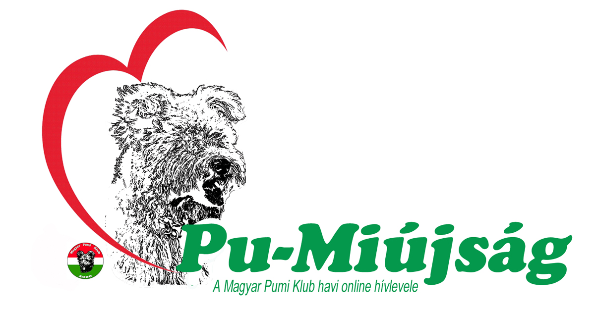 Pu-Miujsag 2024