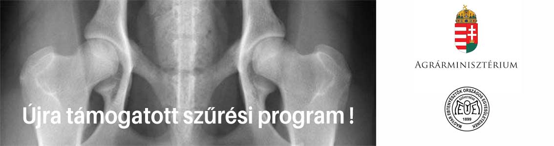 Újra támogatott HD szűrési program tagjaink számára !